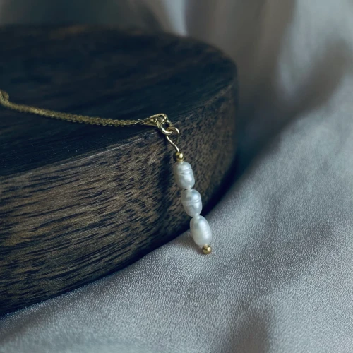 IMG_1351.webp